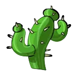 Cactus